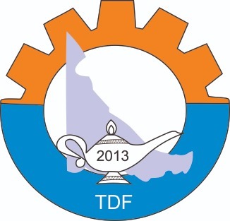 Colegio de Profesionales En Enfermeria TDF